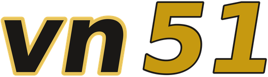 vn51 logo